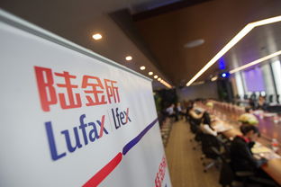 政策限制：条条框框中的挣扎