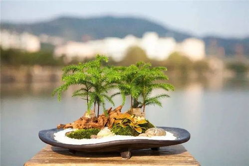 构思创意的旅程