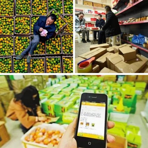 柚子电商助力卖得火，聚焦电商助力农产品销售难题