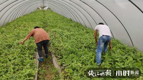 山西运城的张大姐跟我唠过她的惨痛教训：