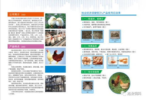 饲料蛋白科学配比对降低养殖成本有何具体作用？