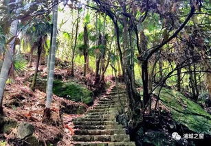 土壤和肥料的重要性