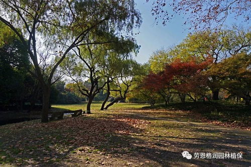 防寒措施：给园子穿上保暖衣