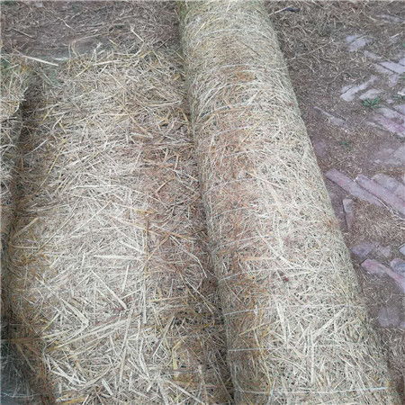 白棉树皮：天然植物纤维