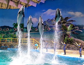 空间布局，让游客畅游海底世界