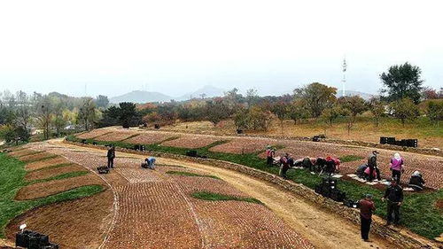 视频播放量 729、 弹幕量 0、点赞数 23、投硬币枚数 2、收藏人数 1、转发人数 2, 视频作者 哥俩侃房房地产研究院, 作者简介 房地产从业多年,相关视频:大连过去几年高点买房的,再过几年嫩解套吗?,大连老房子这么多,新房有这么不好卖,以旧换新可行吗?,颤抖吧!楼顶的违建。大连依法拆除!,热议!大连房价没降网上那么多,真相是什么?,大连楼市里,一半在割肉一半在躺平,哪里的房子是大连楼市再说说的心里防线,2021年缴纳房贷的可依申请退税了!,宁买小窑湾,还是买金州九里?,2024年大连还行不行,恒太我们还嫩相信你吗? 番剧直播游戏中心会员购漫画赛事英歌石植物园只是拆除违建...