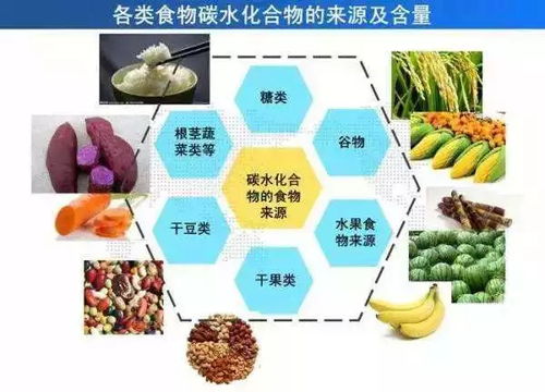 肉狗所需基本营养成分包括蛋白质、脂肪、碳水化合物、维生素和矿物质