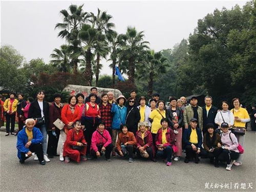 油茶基地重燃生机：大庆坪复工热潮引领茶叶市场新风尚