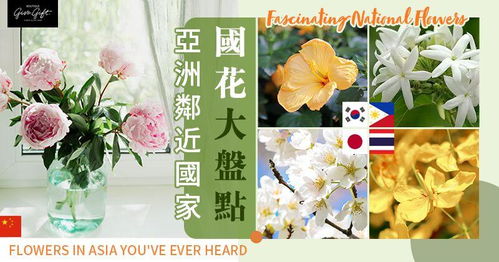 苏联国花是什么它象征着苏联的哪些文化和精神内涵