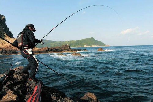 海钓抛竿，需掌握技巧