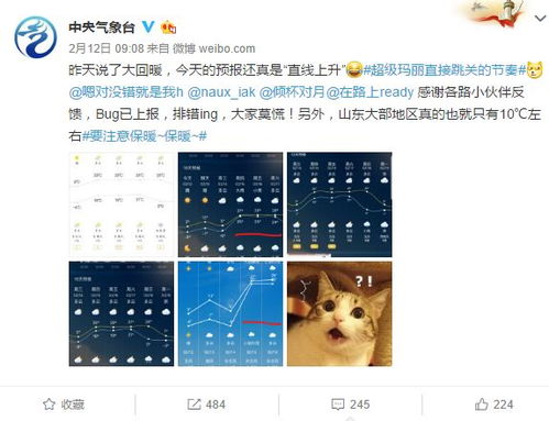 断奶仔猪首月温度管理，如何避免一步错满盘输？
