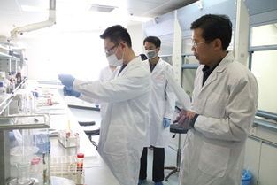 农药残留检测， 保卫食品平安的大卫士