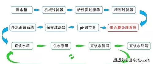 如何根据饲料绝干样品制备全流程，选择合适的设备进行关键步骤操作？