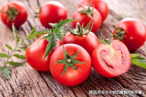 西红柿生长过程中，与草莓生长过程相比，哪个阶段需要更多的水分和光照？