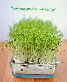 惯与播种与收获的时间：