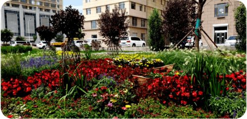 季相变化：四季有景可赏