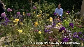 如何挑选适合丰富花园景色的花灌木品种