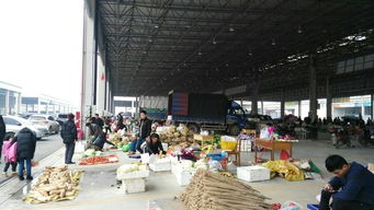 东莞，这个充满活力的城市，不仅有着繁华的工厂和商店，还有丰富的农产品交易。但你知道在东莞哪里Ke以买到农药吗？别急，我来给你一一揭晓！