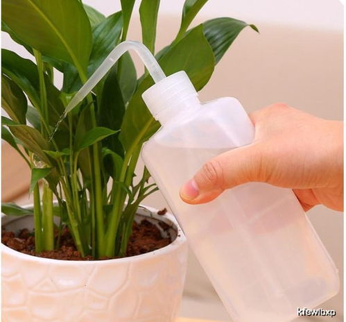 避开误区， 节省60%补种费用