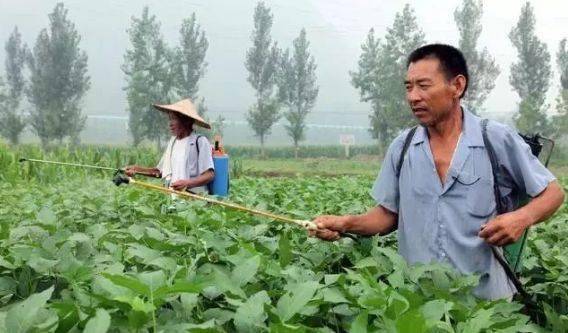 甲维盐与阿维菌素：农田病虫害防治的较量