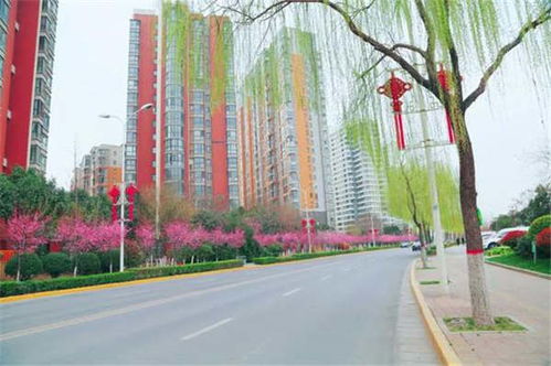 绿化那些事儿