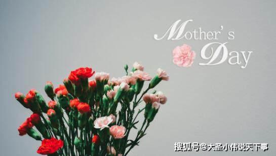 高清康乃馨大图，妈妈/爱人惊喜