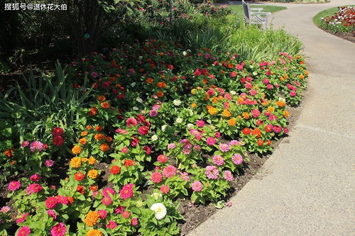 农村地界上的那些计量单位，你真的懂吗？