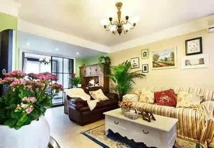 选择植物， 招财纳福两不误