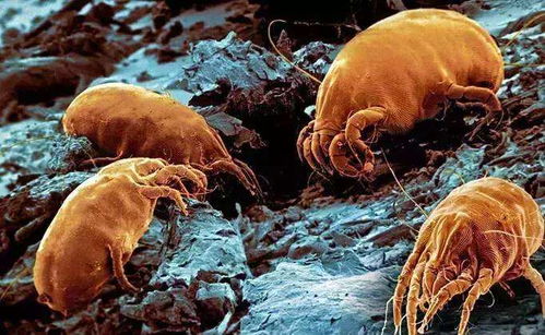 通风良好， 饲养密度合理