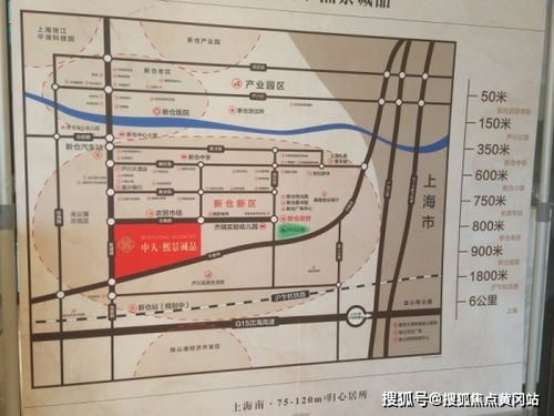 你是我的荆棘花，好看吗