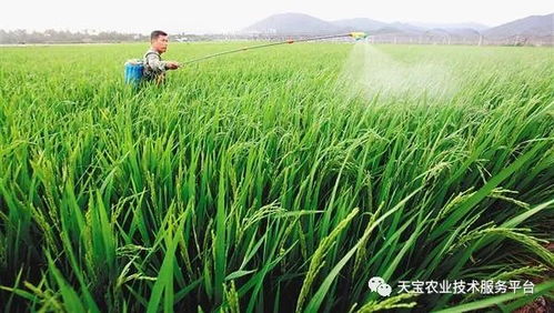 防治对象， 广泛适用