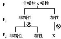 云杉的过冬之道