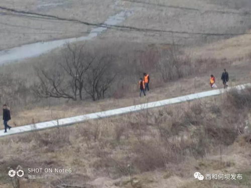 “创新农业养殖，消毒卫生双管齐下