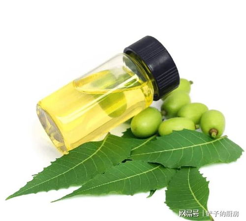 喷杀虫剂后墙布上棉花虫增多，墙布怎么处理才能彻底清除虫害？
