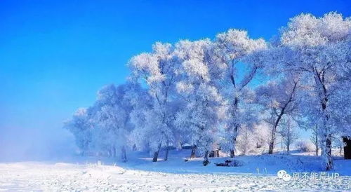 长白山脚下的祖传智慧