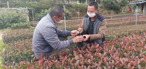 退伍军人陈志明的创业之路