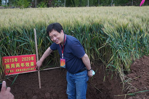 玉米田除草剂的使用，你真的懂了吗？