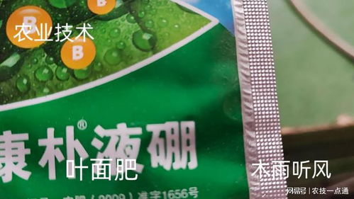 玉米尿素叶面肥喷施需注意用量和方法