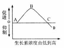 溴菌腈配比浓度大揭秘