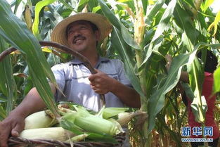 三月化冻别着急， 这三样才是开春王炸：