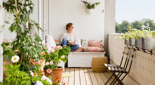 三、碧冬茄：阳台上的四季花仙子