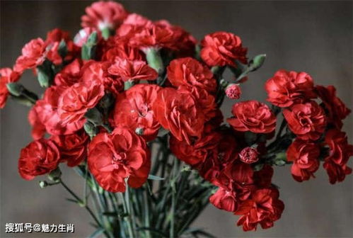 康乃馨花塑料制作，如何巧妙拆分