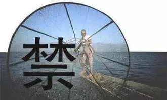 蚂蟥日常管理涉及捕捞、运输、暂养、销售等多个环节