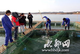湖北丹江口鳡鱼获批国家地理标志保护产品