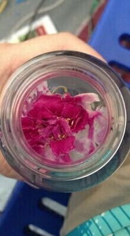 玫瑰花泡水一次放几朵？掌握这个技巧