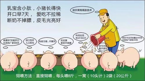 冬季家畜防风湿，科学养殖保健康