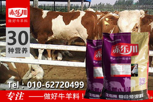 牛喂什么饲料最有利于快速增膘？有没有什么饲料配方能让牛快速上膘？