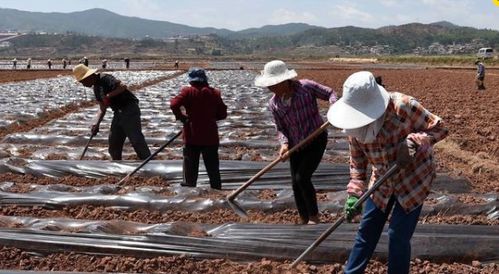 海利尔：农民心中的守护神