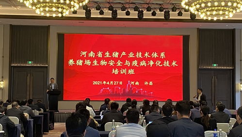 汛期防涝防疫，河南省生猪产业技术体系猪场应急方案有哪些？