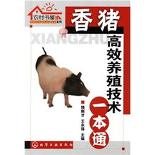 香猪高效养殖技术